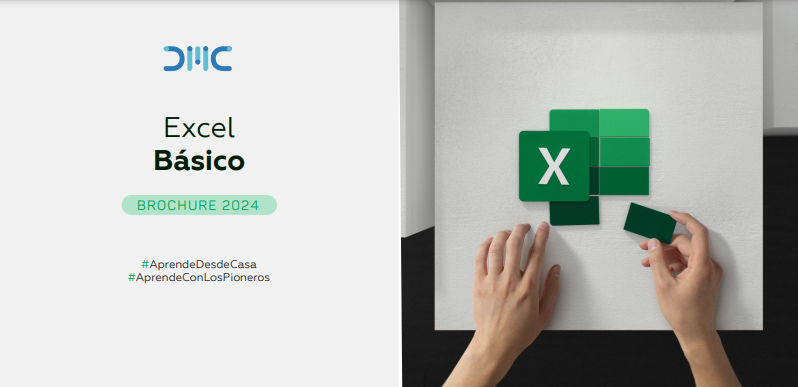 Excel Básico - Ed. 11 - Ricardo Crispín 